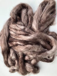 Image 1 of Brown Firestar