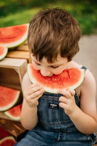 Image 3 of Watermelon Minis 2025