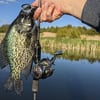 Custom BFS Special Rod Deposit