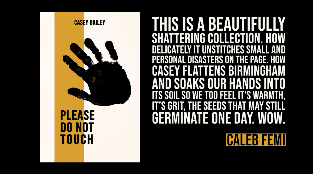 Image of Please Do Not Touch by Casey Bailey