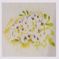 Image 3 of Tissu: New Morning ivoire