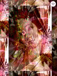 Image 4 of Botticelli Hits Hardware Lane limited edition scarf