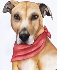 Image 4 of Watercolor Pet Portrait 