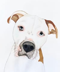 Image 2 of Watercolor Pet Portrait 