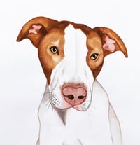 Image 1 of Watercolor Pet Portrait 
