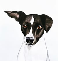 Image 5 of Watercolor Pet Portrait 
