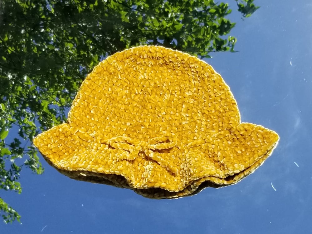 Image of Yellow Mushroom Cap