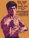 Bruce Lee - The Strength to Endure
