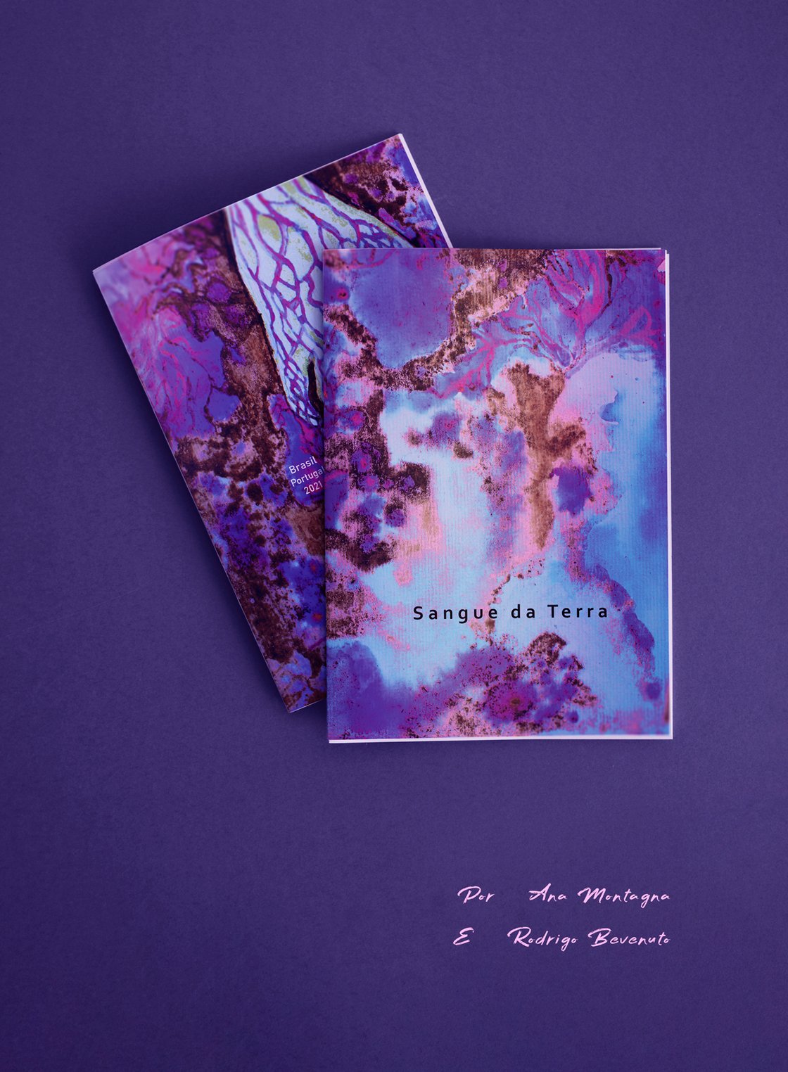 Image of FANZINE "Sangue da Terra"