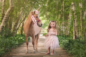 Image of Deposit - Dream Session ($4999)