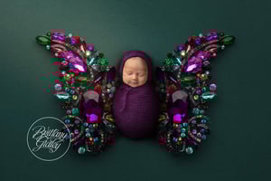Image of Deposit - Newborn Dream Session ($4999)