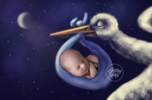 Image of Deposit - Newborn Dream Session ($4999)