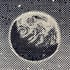 Canberra Moon Shelter Tea Towel Image 2