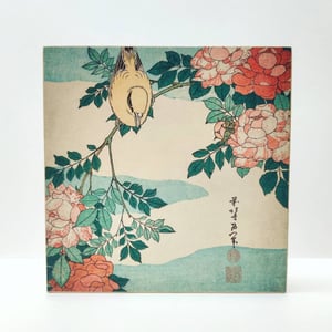 Image of Segunda piel, paisaje japonés.