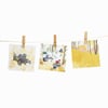 Lot 3 Cartes postales Blaireaux