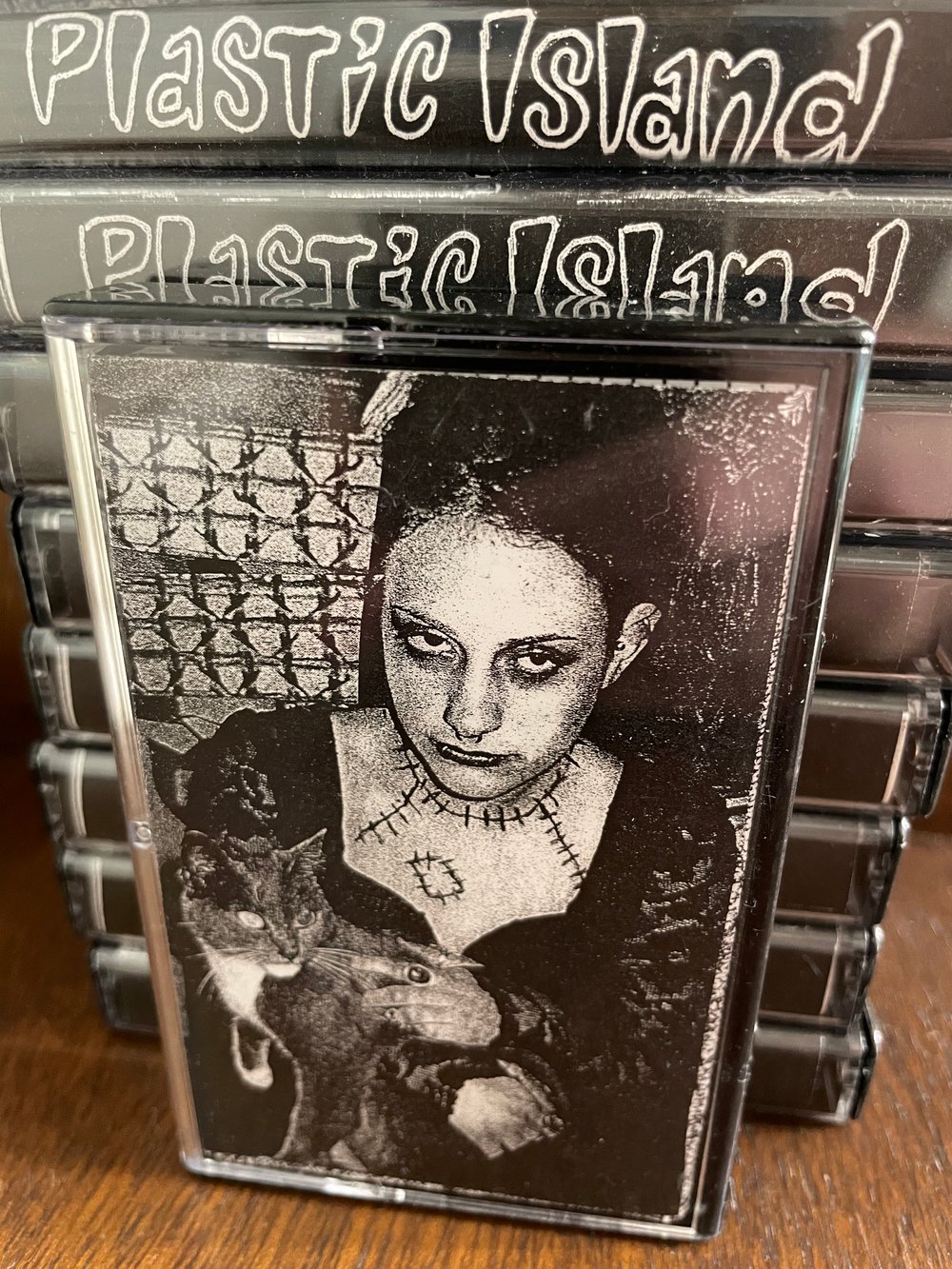 Plastic Island Volume 4: Songs About Cats