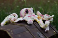 Image 3 of Speckled Octopus