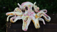 Image 2 of Speckled Octopus