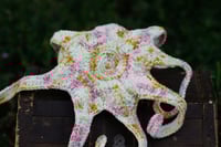 Image 5 of Speckled Octopus