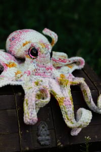 Image 4 of Speckled Octopus