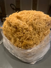 16oz Gold Sea Moss Gel 