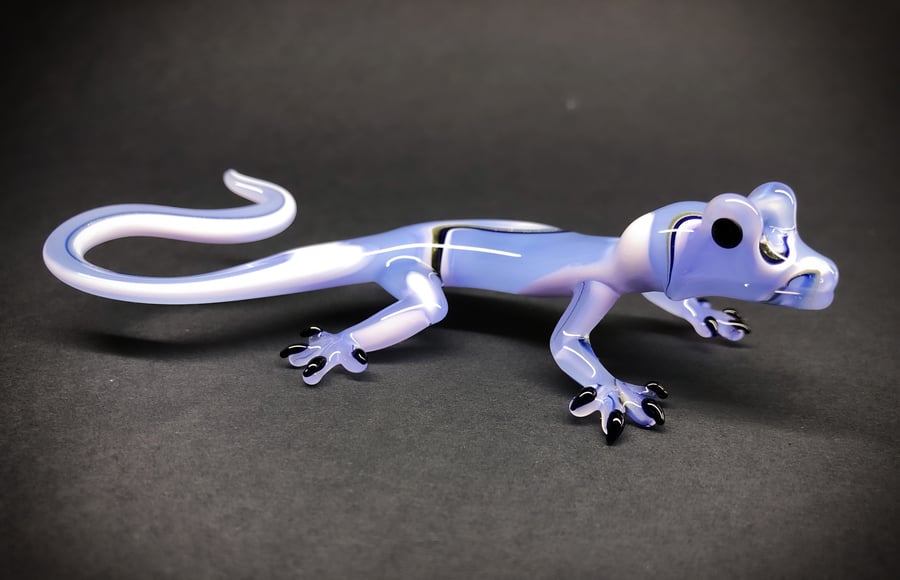 Image of Pastel Gecko