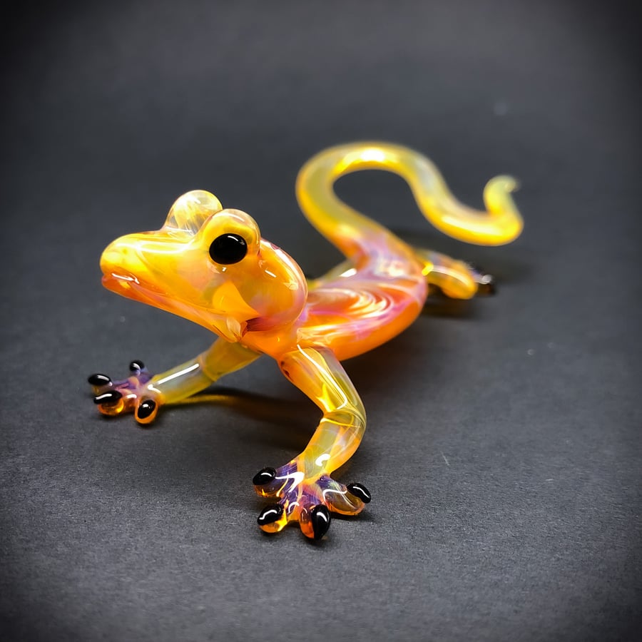 Image of Amber purple gecko