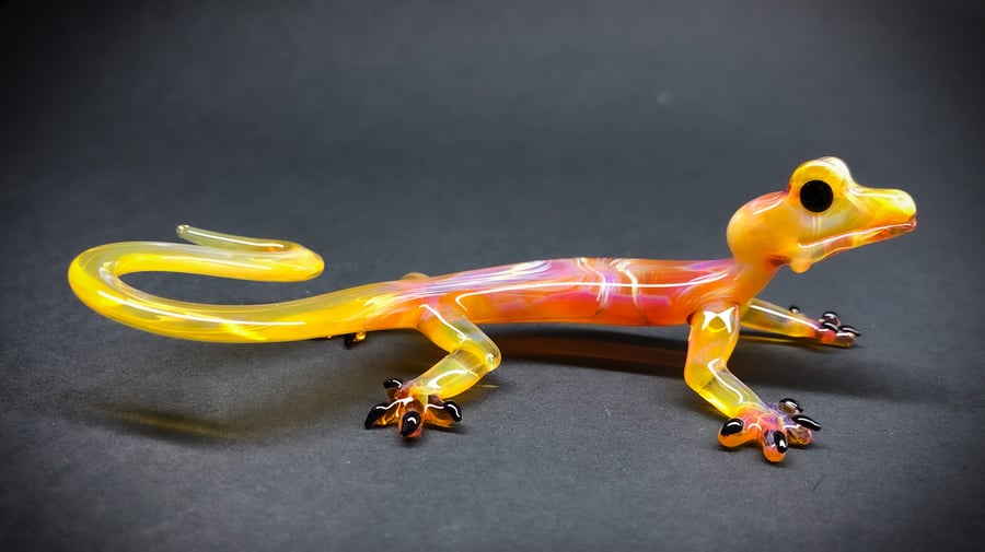 Image of Amber purple gecko