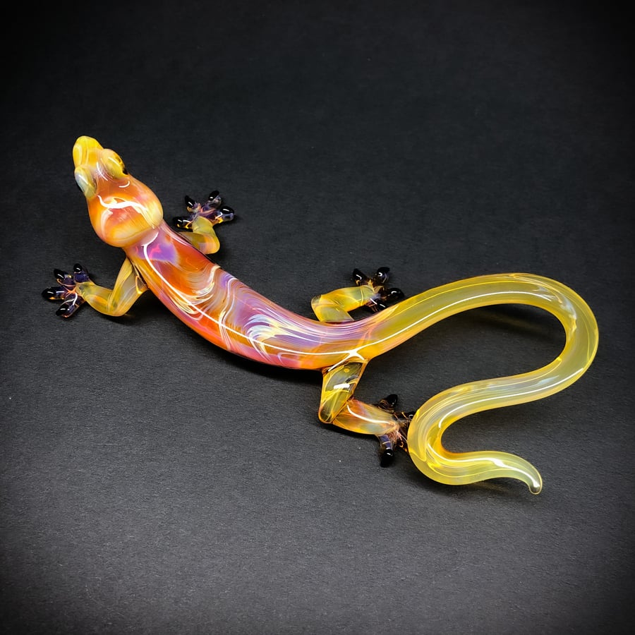 Image of Amber purple gecko