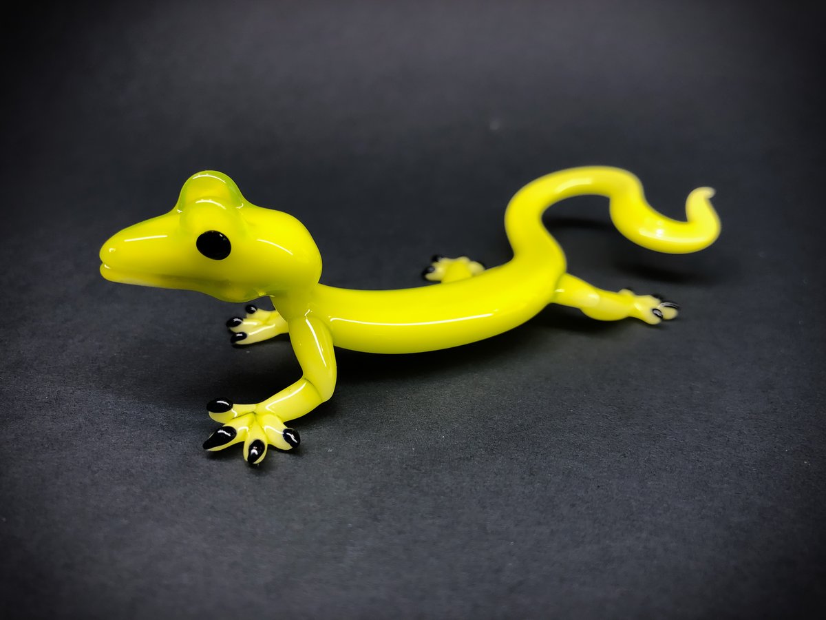 Lime Green Gecko Fève