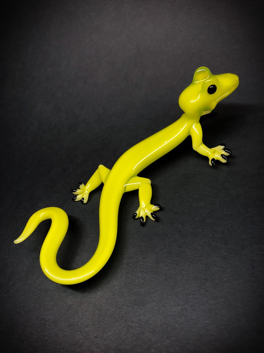 Lime Green Gecko Fève