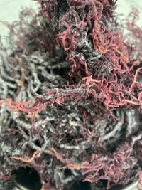 16oz Purple Sea Moss Gel