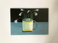Image 3 of Snowdrops