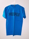 Prosper Clothing Company Turquoise Flag T