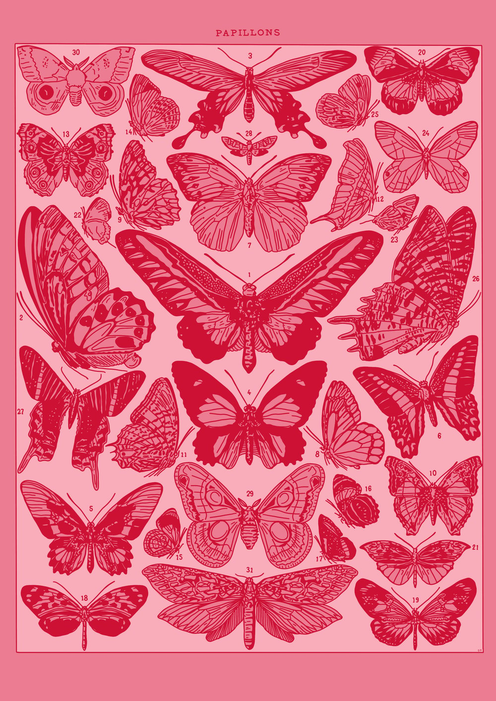 Image of Pink Papillons 🦋💘