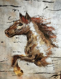 Image 1 of Free Spirit