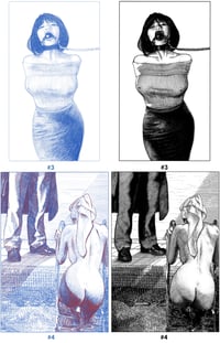 Image 3 of PRINTS - VOLUME 4