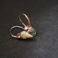 Image 1 of SHORELINE baby hoops