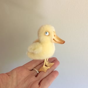 Image of Goldie the Tiny Duckling