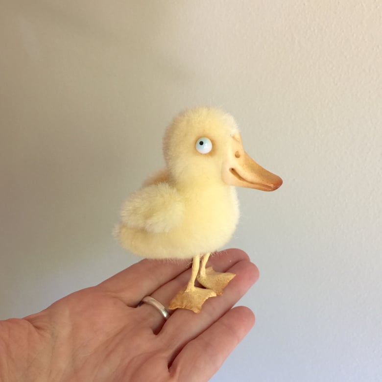 Image of Goldie the Tiny Duckling