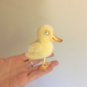 Image of Goldie the Tiny Duckling