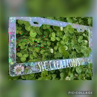 License plate frame 