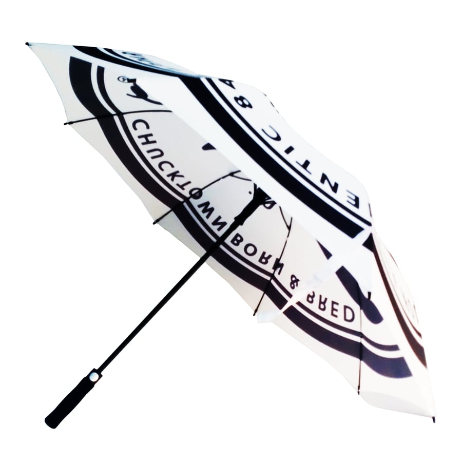 Image of The Original Charleo Umbrella (or Parasol?)