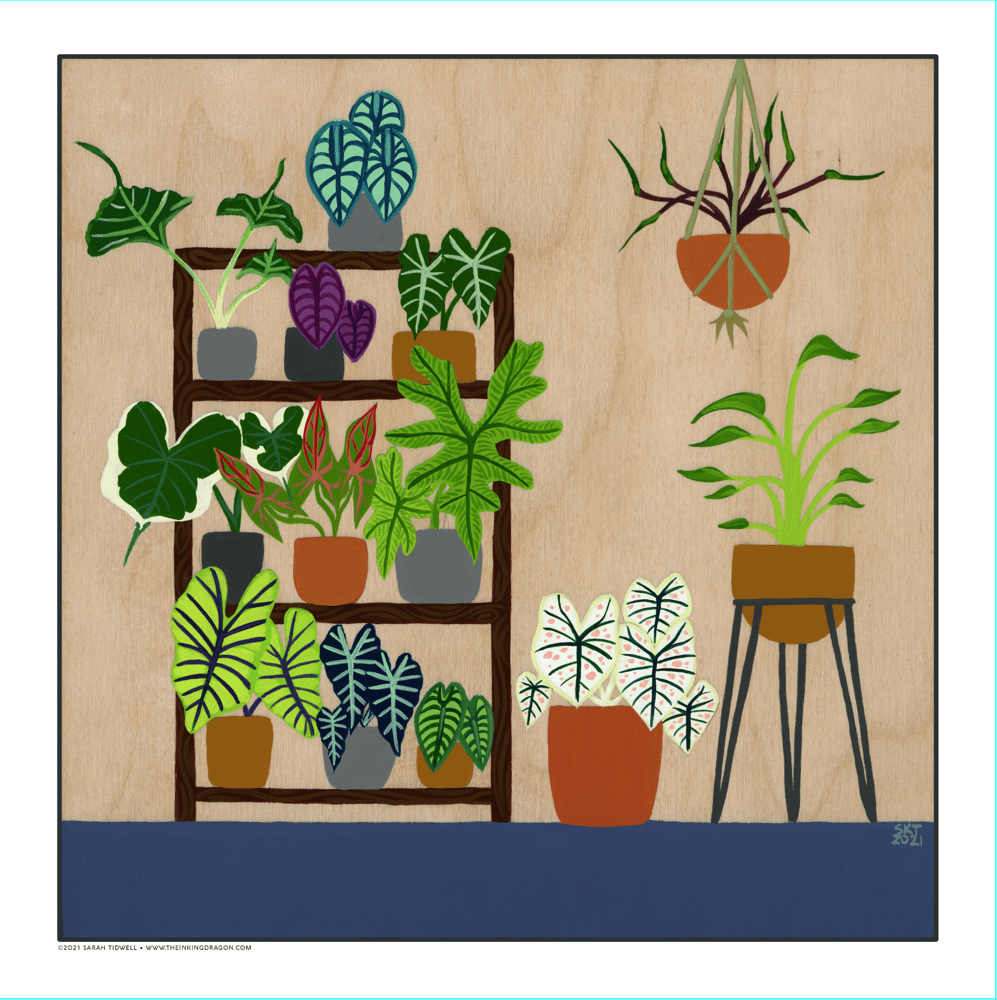 Image of Elephant Ear Collection - Print