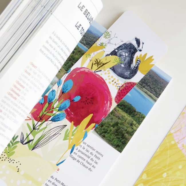 Marques-pages Blaireaux