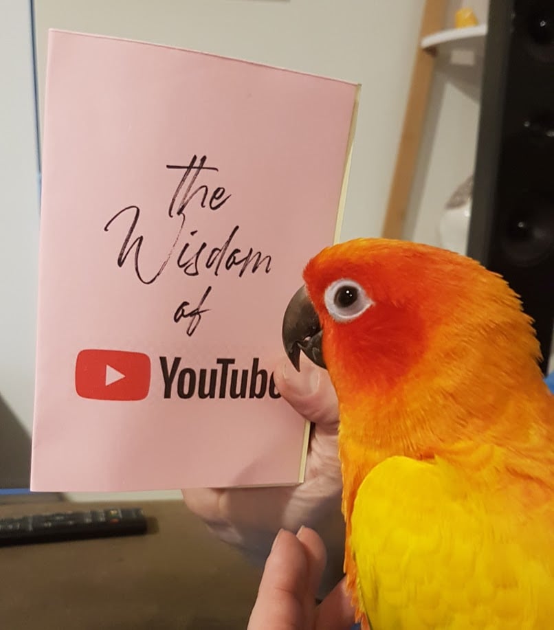 Image of The Wisdom of YouTube