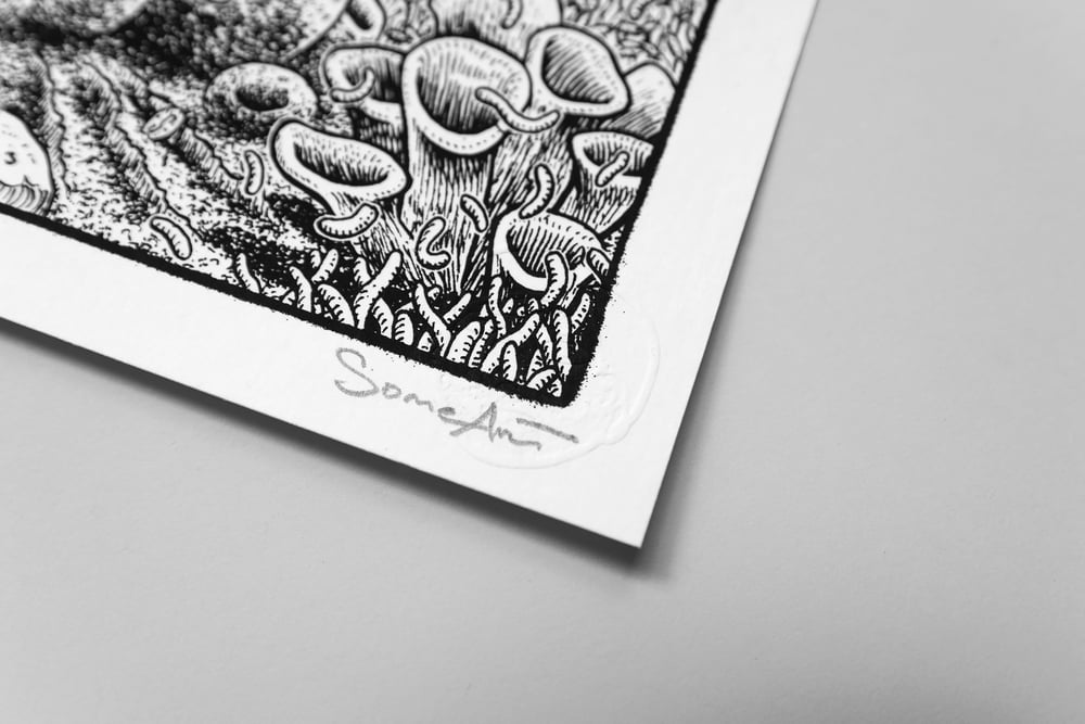 ' Reef '