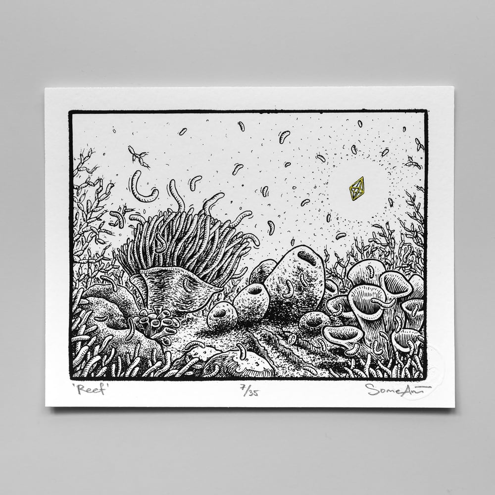 ' Reef '