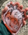 Anatomical Heart tray 6 inch 