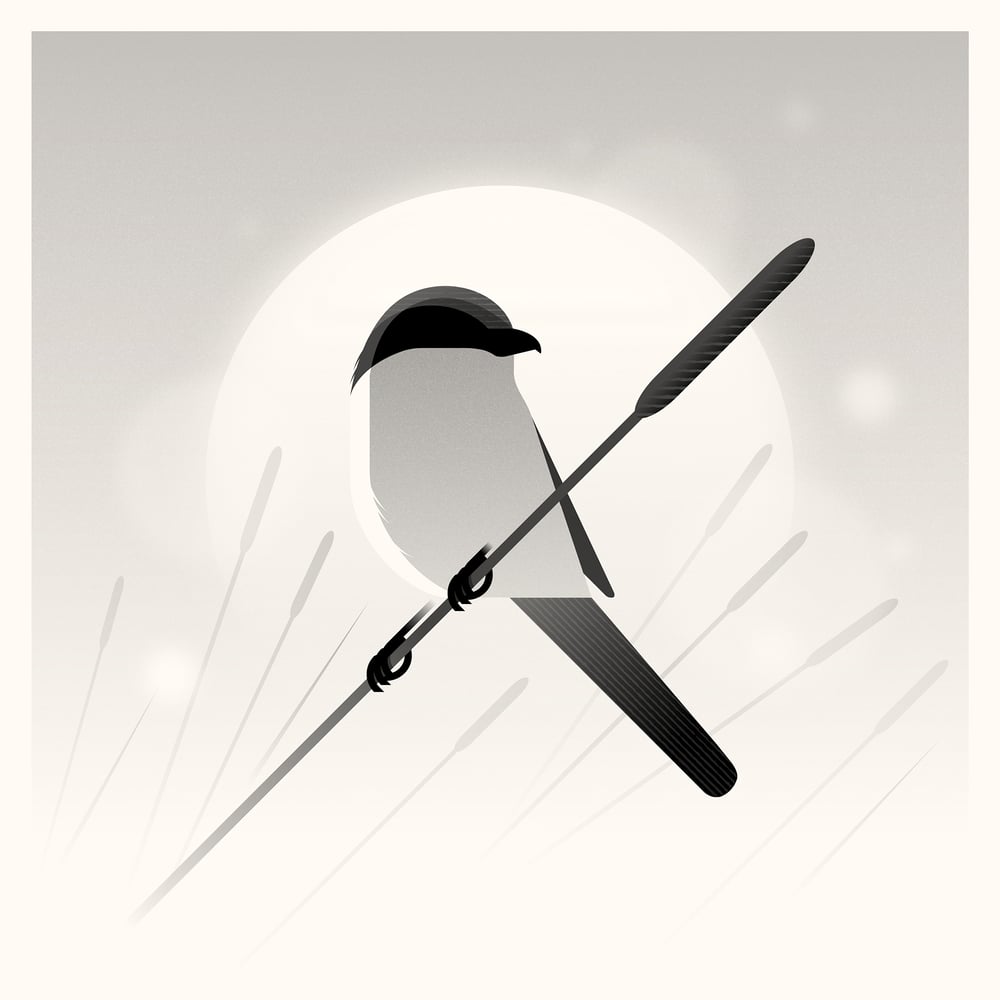 Image of Shrike Artprint
